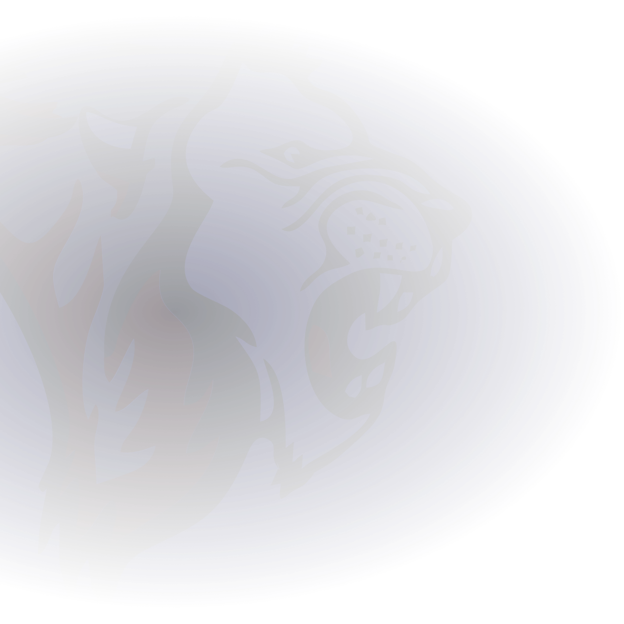 Official AFL Website Of The Essendon Football Club official-afl-website-of-the-essendon-football-club